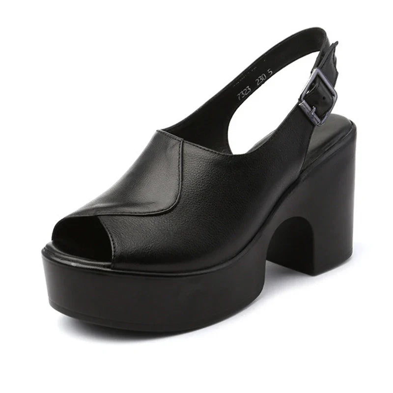 Black / 41